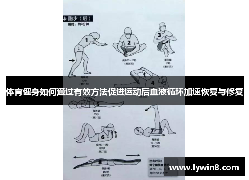体育健身如何通过有效方法促进运动后血液循环加速恢复与修复