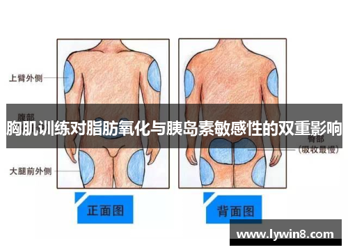 胸肌训练对脂肪氧化与胰岛素敏感性的双重影响